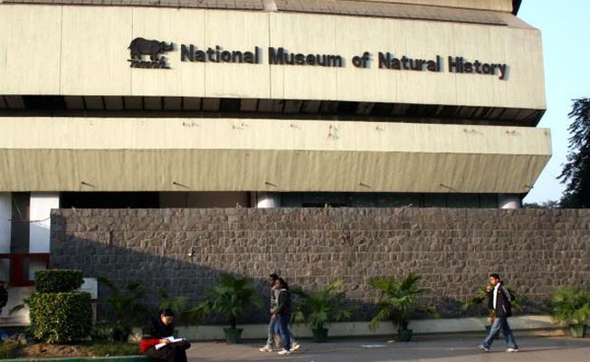 NATIONAL MUSEUM OF NATURAL HISTORY