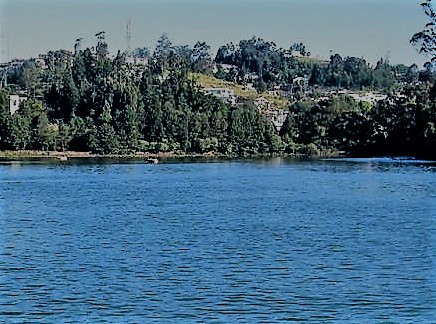 Ooty Lake