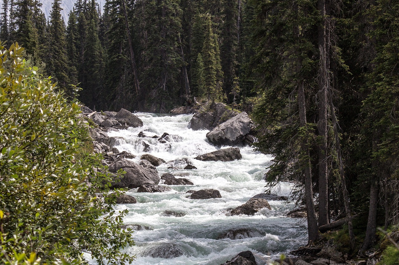 Bow Falls