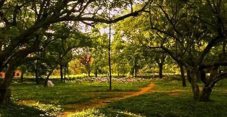 CUBBON PARK 