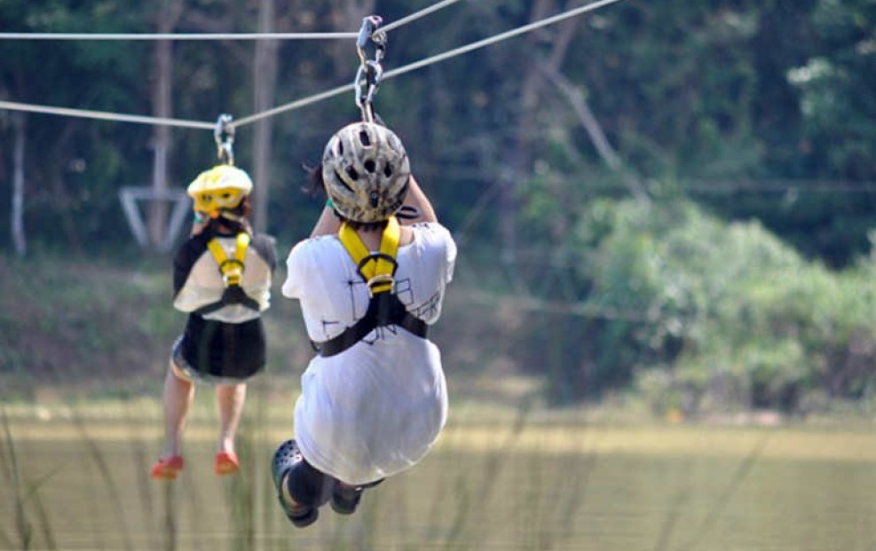 Flying Fox