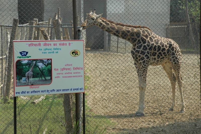 LUCKNOW ZOO