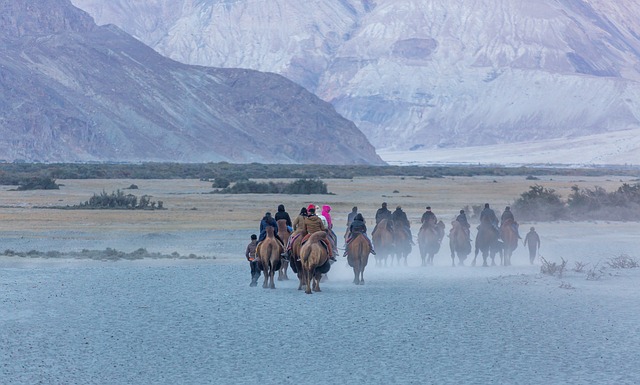 Nubra Valley