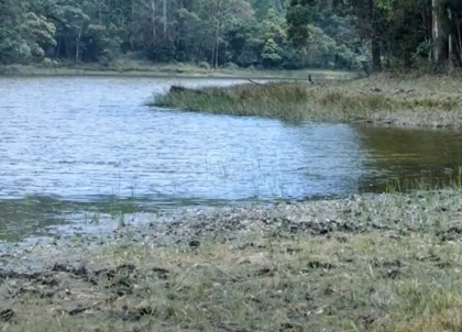 Devikulam Lake