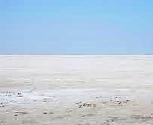 Great Rann of Kutch