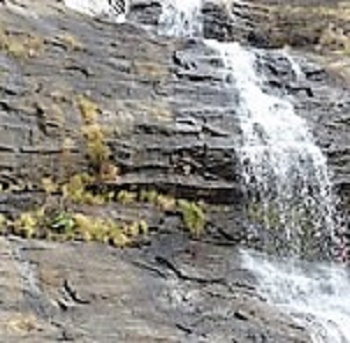 Thommankuthu Waterfalls