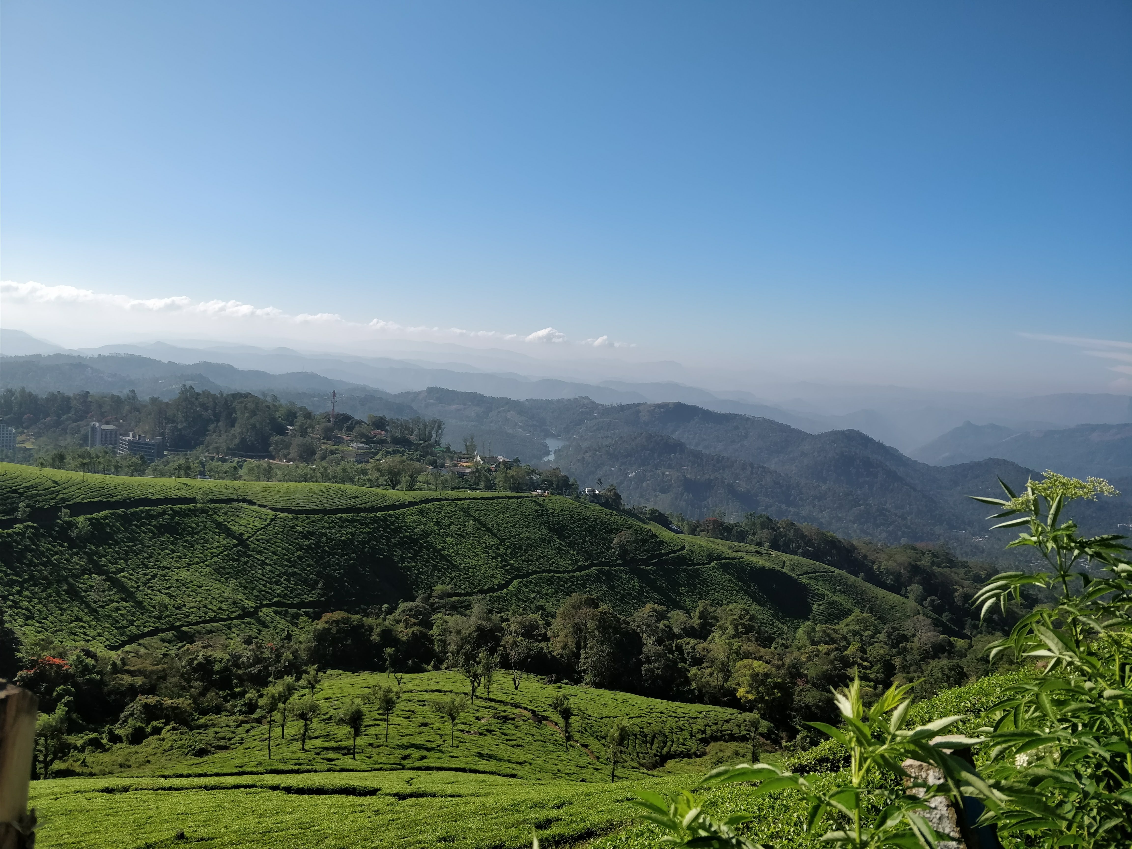 Kolukkumalai