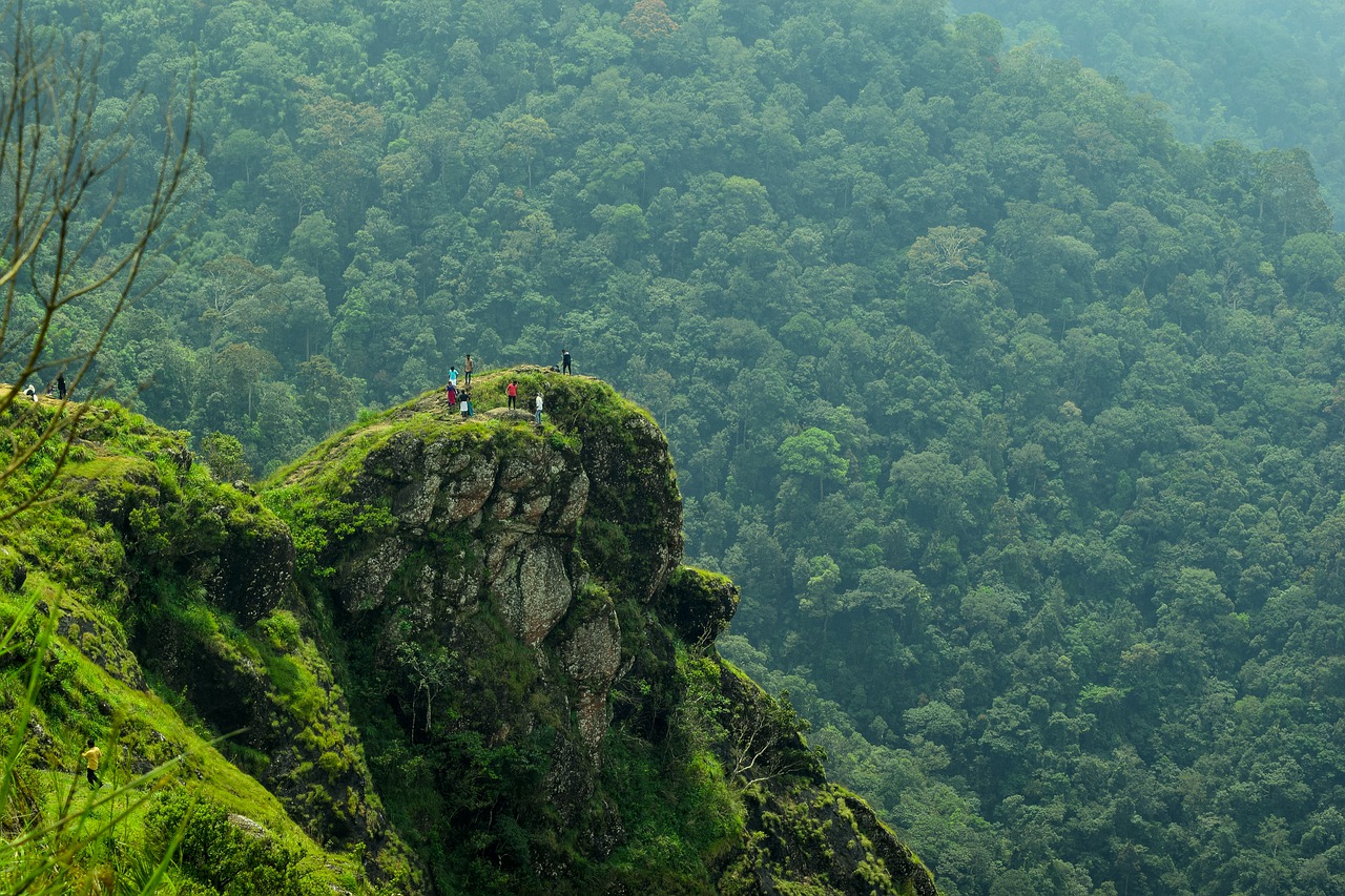 Eagle Rock (Parunthupara)