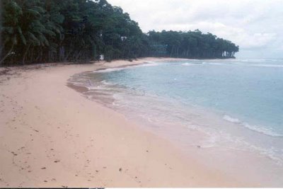 Butler Bay Beach