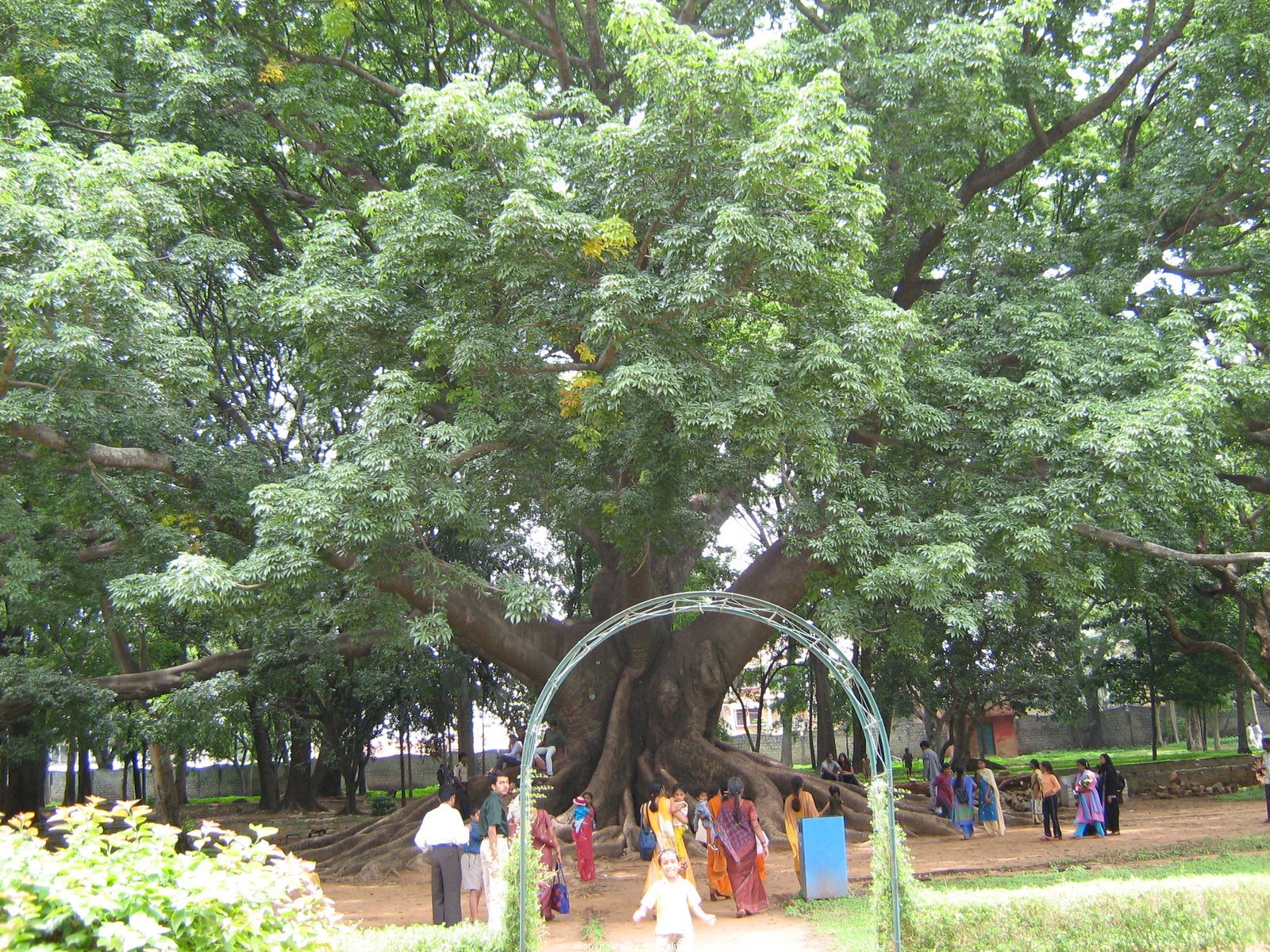 LAL BAGH 