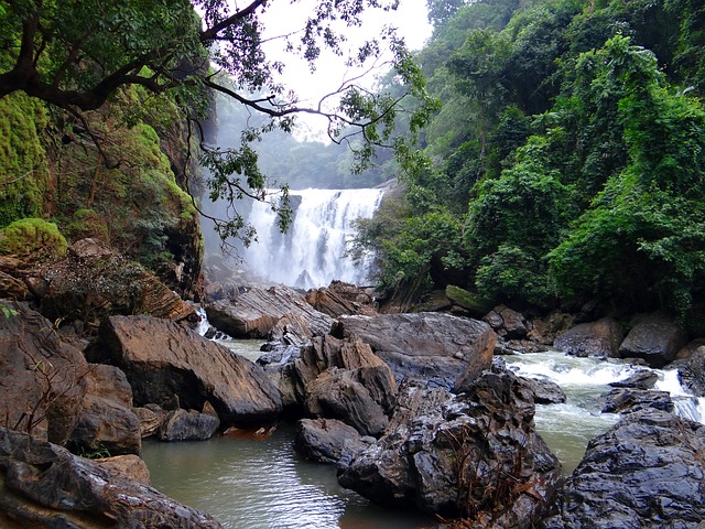 Sathodi Falls