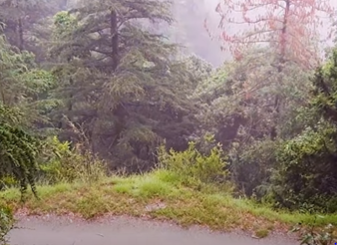 Shimla Reserve Forest Sanctuary 