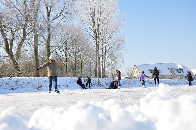 Ice Skating Club