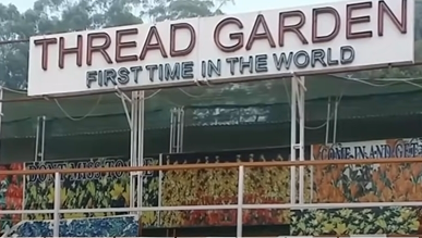 Thread Garden