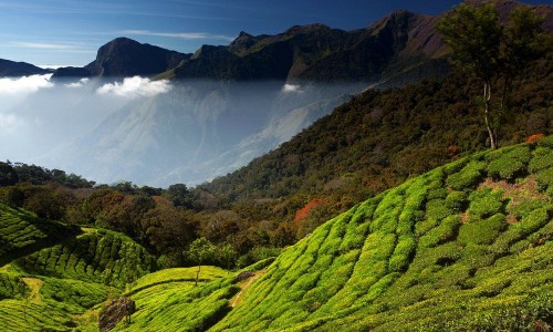 Magnificent Kerala Tour Package